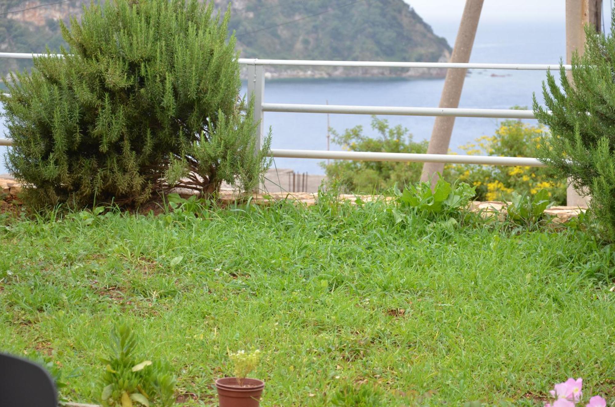 Guest house Harmonia 2 Himare